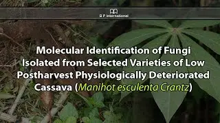 Molecular Identification of Fungi Isolated from Selected Varieties of Low Postharvest