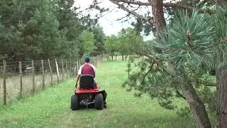 MTD Optima 200 H Review