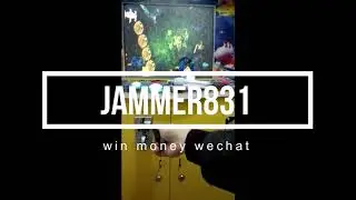 anti alarm for fish game  emp jammer