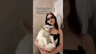 Times When BlackPink Accidentally Started Tiktok Trends!