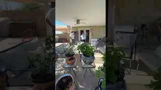 This Is A Very Common Story In El Paso  #elpaso #backyard #landscaping #artificialgrass