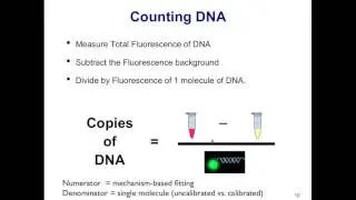 How to achieve Absolute quantification in qPCR - (CopyCount-CNV software)