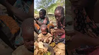 USA #AmericanAudience #AfricanCulture #VillageFood #TravelAfrica