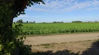 167 Windraak (Limburg, NL) 11,4 km