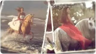 happyhorses