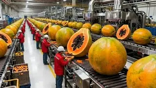 From Fresh Fruit to Million-Dollar Products: The Secrets Behind Modern Papaya Processing Plants.