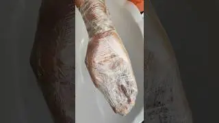 My Hand is Embalmed 💀🤒#asmr #cleaning