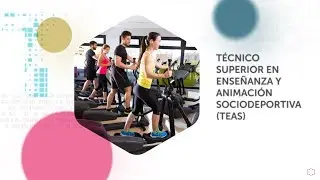 Ciclo Formativo de Grado Superior en Técnico en Enseñanza y Animación Sociodeportiva (TEAS)