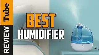 Humidifier: Best Humidifiers [2025]