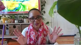 Plant Reset: Podando Minha Costela-de-Ad&atilde;o/Dicas Pr&aacute;ticas!