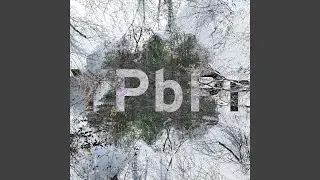 T-808