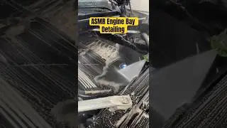 ASMR Engine Bay Detailing!!! BMW X7M #shorts #satisfying