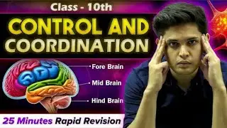 Control and Coordination in 25 min 💥|| Rapid Revision|| Class 10th ||Prashant Kirad||