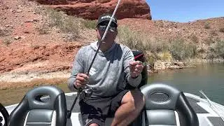 Smallmouth Bass Fishing on Lake Havasu