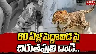 60 ఏళ్ల పెద్దావిడ పై చిరుతపులి దాడి.. | Leopard Hulchal At Ananthapuram | Mahaa News
