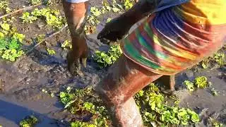 Hole Fish Trap । Boy Build Fish Trap By Muddy soil । amazing mud fishing video2023