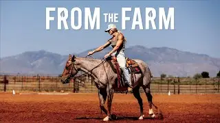 From The Farm
