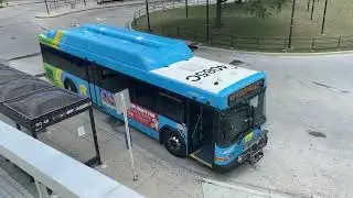 WMATA New Flyer Metrobuses & MCDOT Ride-On Gillig Buses | Transit Action Series 8