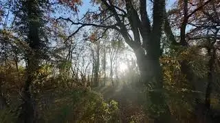 Test Axis Flying C35 V3 O4 Pro Balade au couleur d'automne