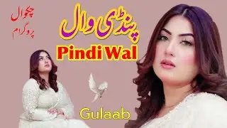 Pindi Wal | Mera Yaar Pindi Da | Singer Gulaab | Dhruggi Rajgan Chakwal | Decent Chakwal 84 TV