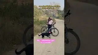 Bro switched for a girl in 0.2 seconds 🐶 😂 #trendingshorts #viral #funny #ootbVibes