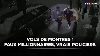 &Agrave; Londres, des policiers se font passer pour des millionnaires pour emp&ecirc;cher les vols de montres