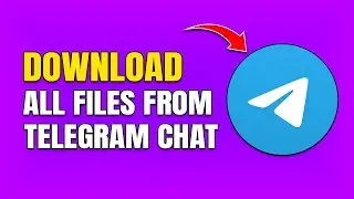 How To Download All Files From Telegram Channel & Group