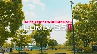 LUMIX S5M2 with 20-60mm/ Varicam Lut Library comparison all of 33 lut with 4K V-log