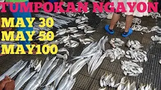 DAGSA MGA SARIWANG ISDA NAGMURA SATUMPOKAN#fishport tumpokan julugan1tanza cavite