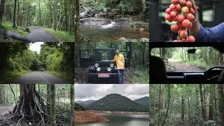 Shendurney Wildlife Sanctuary | Western Ghats | Wildlife | Kerala Tourism | #travel #offroad #india