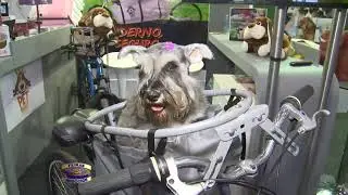PET BASKET - O MELHOR CESTO PARA PET DO MERCADO - NO FEIRAS NEG&Oacute;CIOS