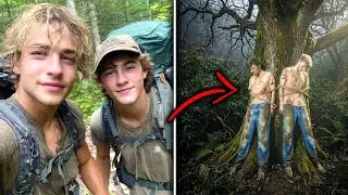 Zwei Studenten Verschwanden In Den Wäldern Der Appalachen Dann Wurden Sie Neben Einem Baum Gefunden
