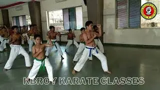 What is dojo training?