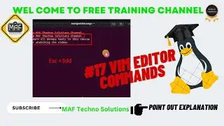 #17 day VIM EDITOR Commands | Learn How to use VI editor in Linux with Practicle