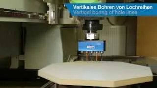 WOOD - BENZ Mehrspindelbohrkopf /  Multi Spindle Head MULTI V5