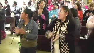 el baile de las palmeras