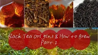 Chinese Black Tea Types & Origin Part II | Lapsang souchong # How to Brew #Caffeine  #正山小种 #中国红茶
