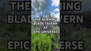 Inside the Burning Blade Tavern at Epic Universe!