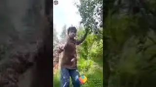 New pahari song dance king vinod manolta