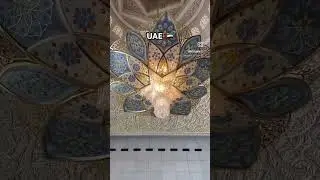 UAE 🇦🇪 #grandmosque #grandmosqueabudhabi #uaelife #travel #abudhabicitytour