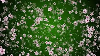 Flower Background Video Effects HD 3