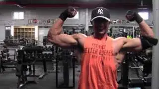Physique ANIMAL