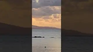 Cruise ship spotting Freeport Montego Bay Jamaica