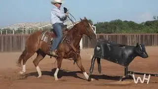 Training with the Smarty with Slick Robison