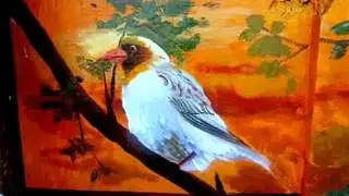 CHENNAI WALL PAINTINGS - BIRDS COLLECTION - Done by Tamilnadu ARTISTS - Album - 02