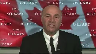Kevin O'Leary on Conservative leadership plans