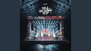 Mezzi Pesanti (feat. Saint.dvr, ACE. & Rafe) (Remix)