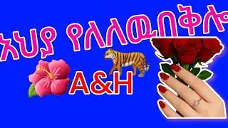 🛑አህያ የለለዉ በቅሎ ❌ያነዉራል ቀንተሽ እንጅ አትፈልጊዉም🤮