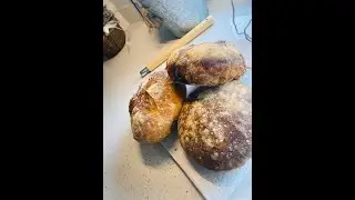 Homemade Bread - Brick Oven (Outdoor Cooking)
