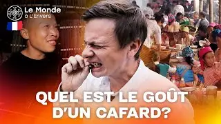 Quel est le goût d'un cafard? Le Monde à L'Envers